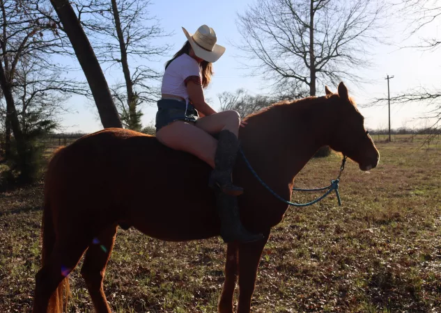 Just going for a quick ride by CreamOfWhiskey