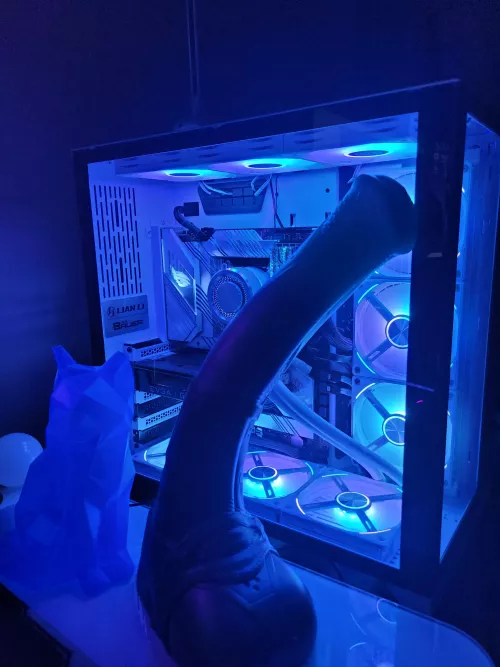 Just got (Lg/med)Vector in today :3 matches my PC setup perfectly. It's so big 😍 by ArcticIceFox