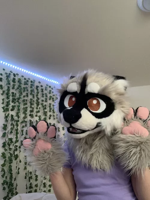 Just got my first fursuit!! by Lopsided-Extreme5627