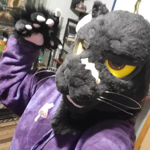 just got my first fursuit! by snarlbros