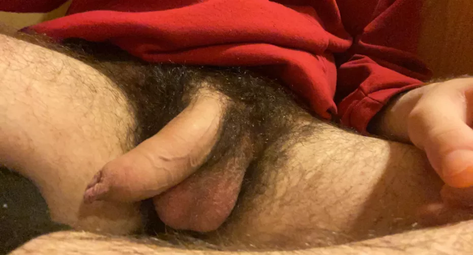 Just hangin around by greymarc55