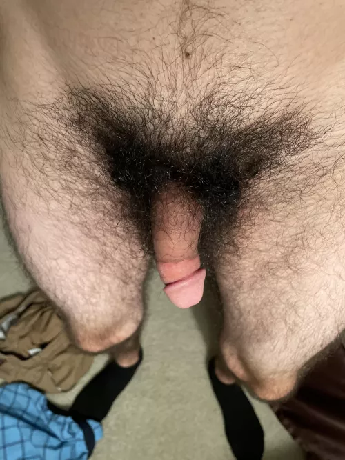 Just hanging around! Pms open by mishavinyljunkie21