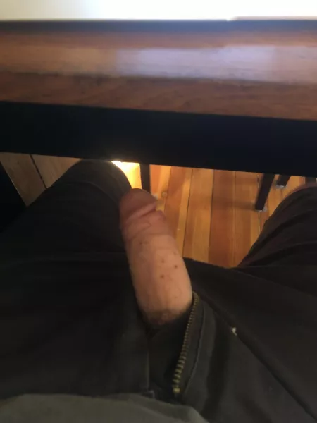 Just hanging out. Anyone want a sucker? by WebSeveral7351