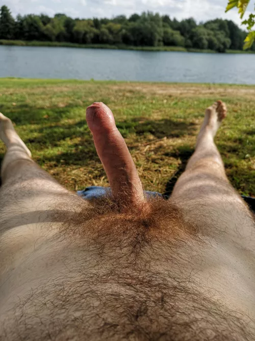 Just laying in the park, love to be watched and sucked dry by strangers by Hairieh