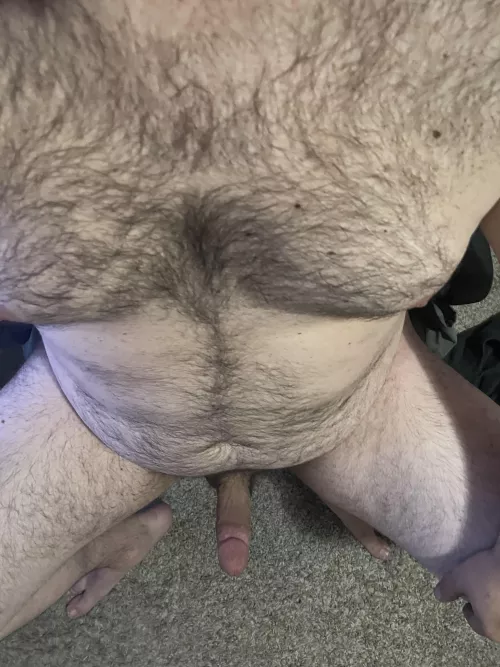 Just lounging around by HazeyPork