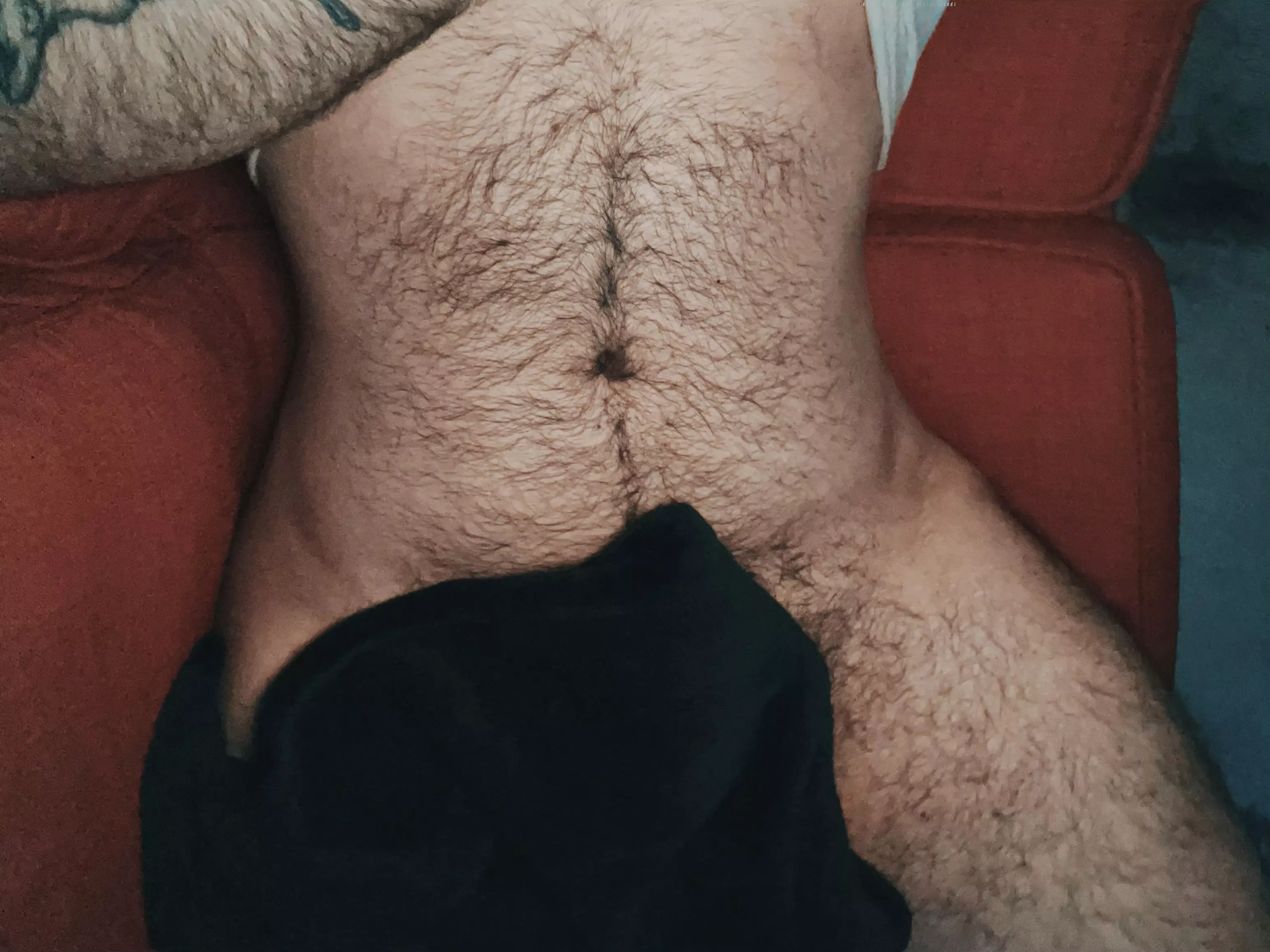 Just lounging on the couch today. What’s everyone else up to? posted by Lzaddy