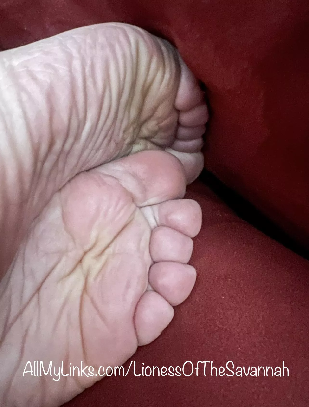 🎄 Just my cute footsies enjoying the holidays! ❤️❄️💚 Check out my profile and DM me! 😋 posted by Savannahs_Feet