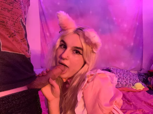 just neko maid things~ by angelovelacexo