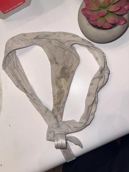 Just put a massive load in wifes panties she left lying around for me 😈 by BeastBoi2323