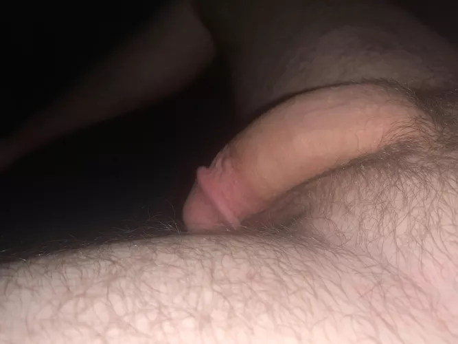 Just resting by pickledick9