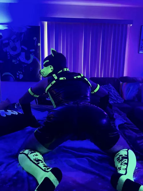 Just shut up and fuck me. by Pup_Piston