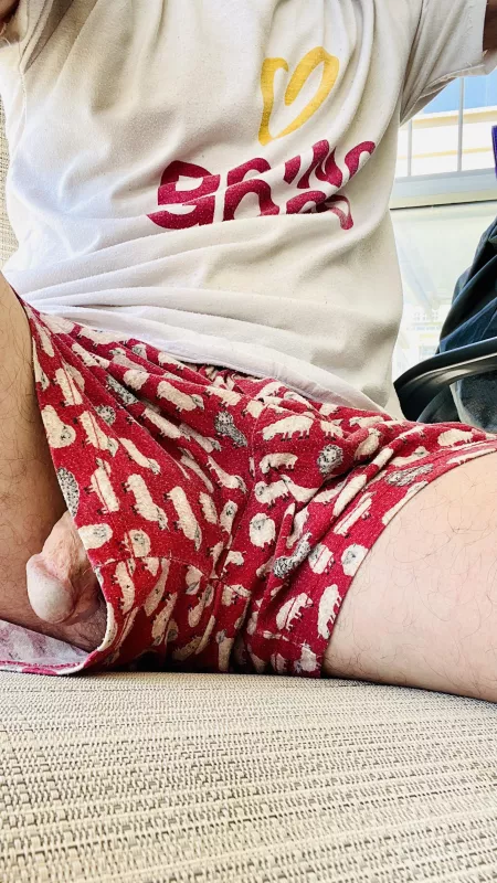 Just sitting outside letting him breathe fresh air by xd70xd