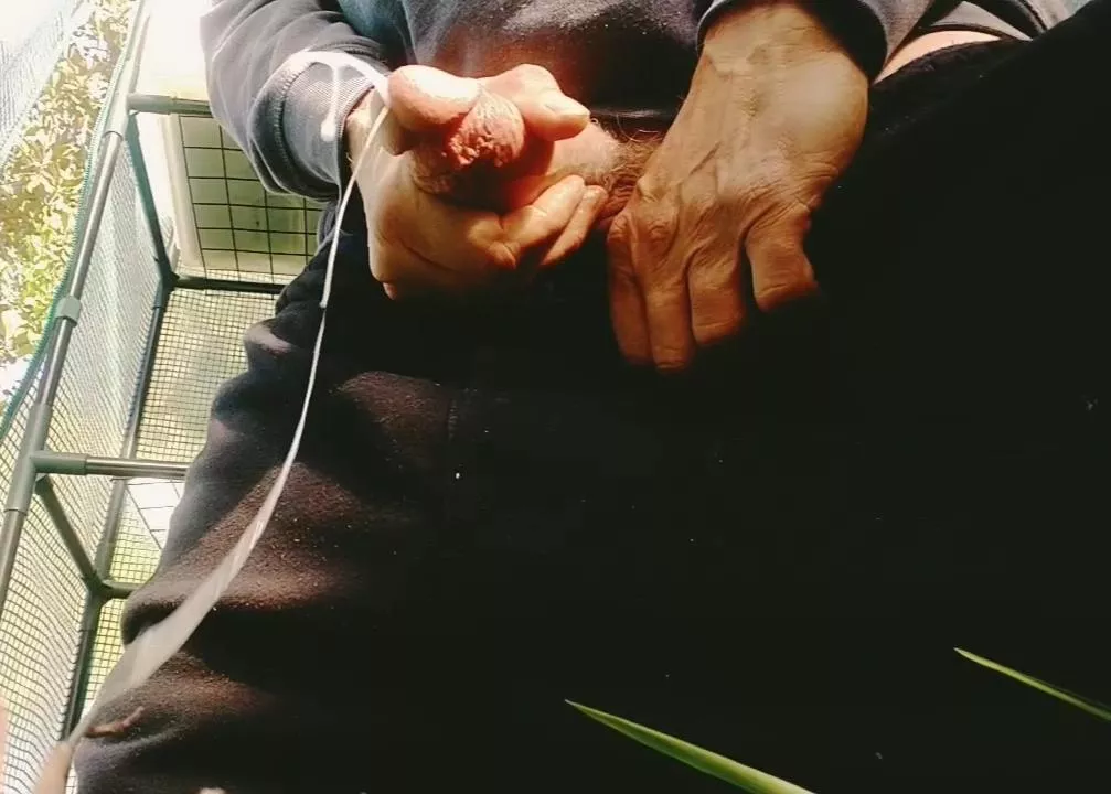 just some cum posted by Bulky_Fan_3299