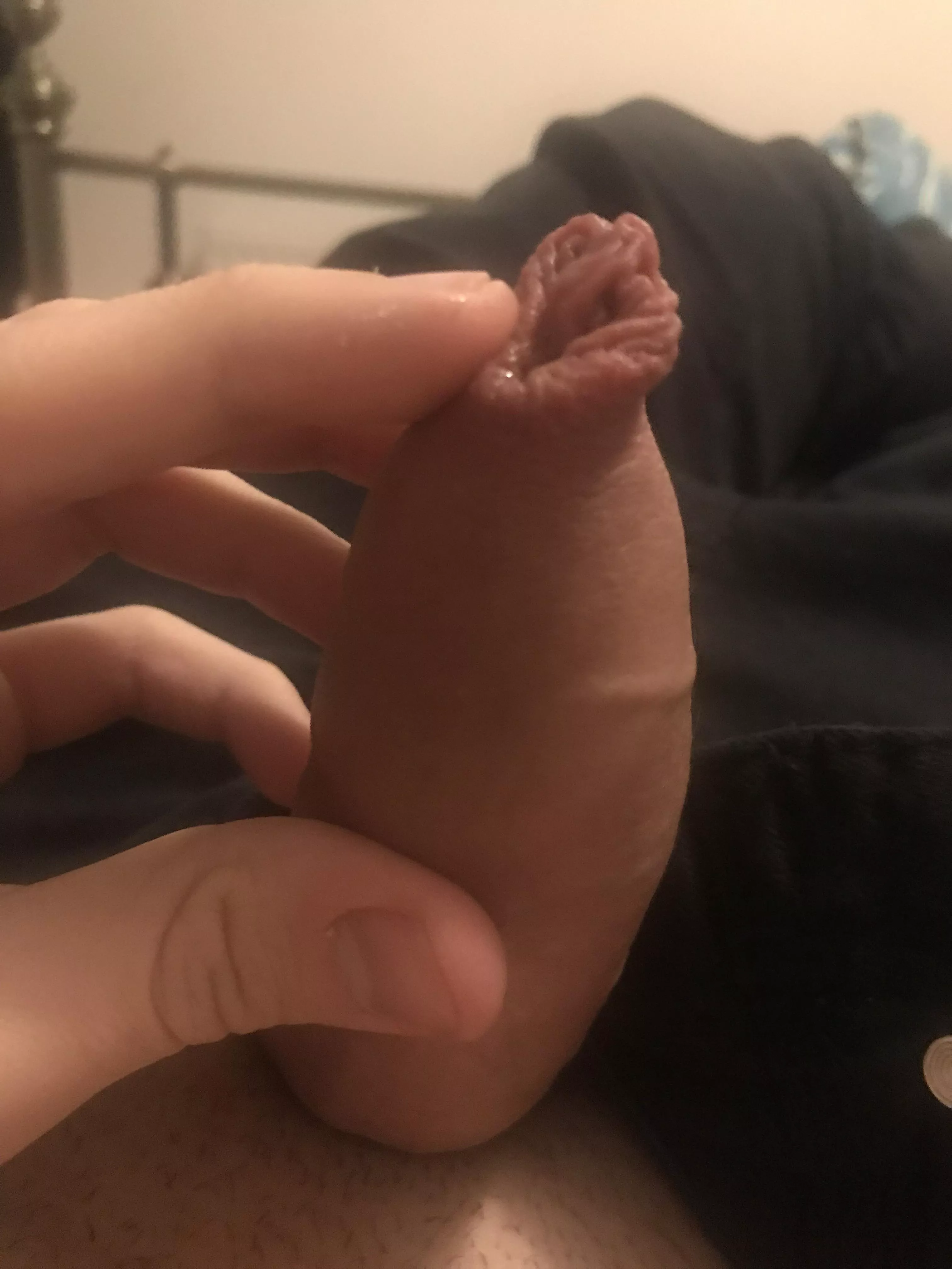 Just starting to glisten a little. ✨ posted by DuskTread101