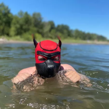 Just swimming and being a good boy :3 by Good_Stuff_Indeed