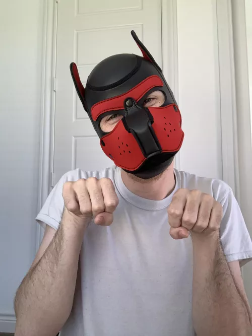 Just trying my best to be a good boy! 🐾 by texasgayguy