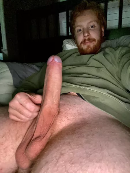 Just trying to keep the ginger gene alive by Optimal-Book6683