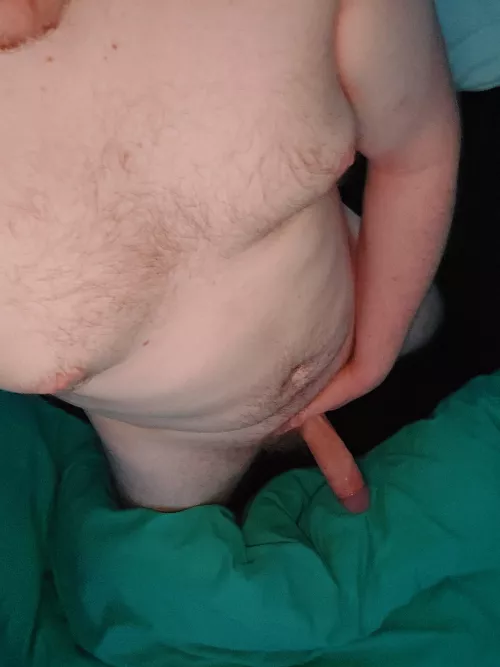 Just want someone that'll let me hide my cock inside them!! 🥵🥵 by tangomycock34