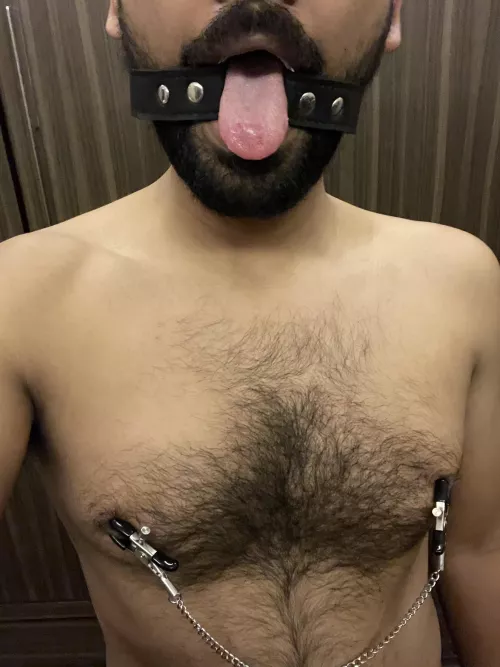 Just want to introduce my lil pet. Came around to say hi. by SheffaliB