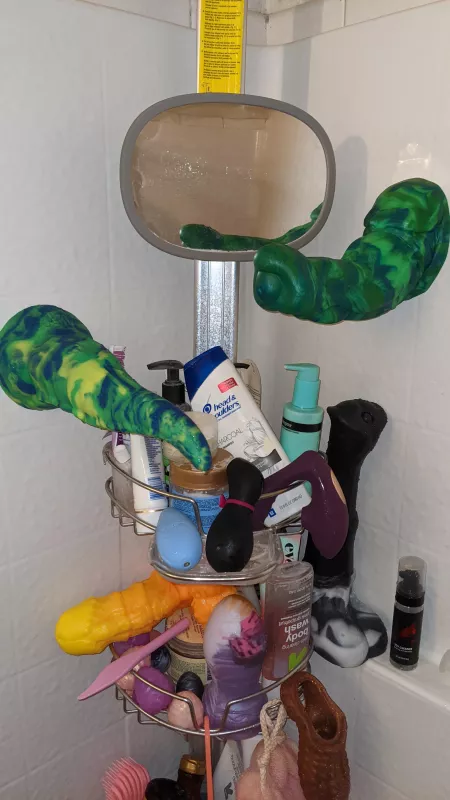 Just your regular shower essentials. by domitorex