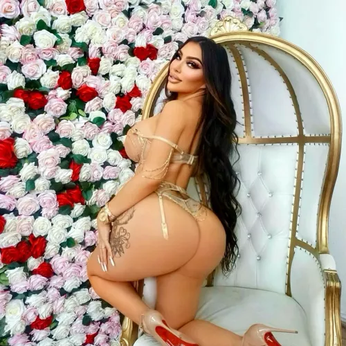 K4yl4r4qu3ll3 by vocaza