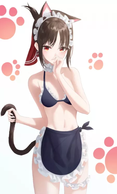 Kaguya = best neko maid 💕[kaguya Sama love is war] by Kogetsu_00