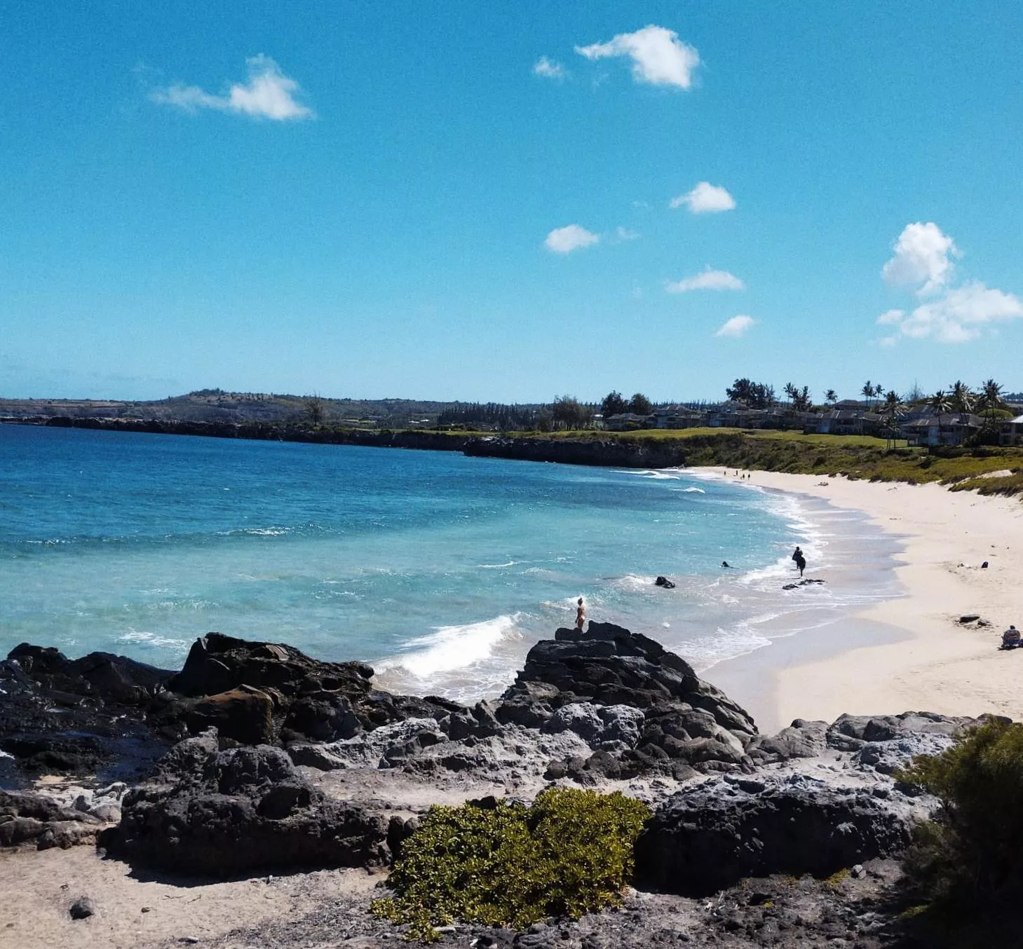 Kapalua Beach, Maui, HI posted by Parking_Ambition4451