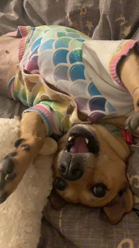 Katie is quite fashionable (and playful) by maddiemoiselle