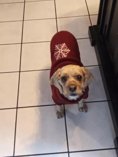 Katie wearing her sweater. by metrogenics