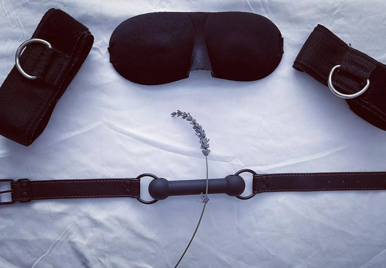 Keep calm and laugh 🪶 What do you think of my setup so far? posted by Sick_shark