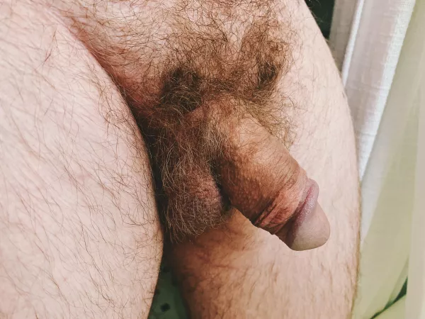 Keep it going or shave it off? by TooTactical