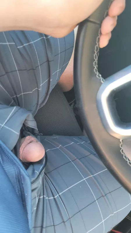 keep my cock out while I drive home for 5 hours going to watch some porn to get me all hard migh jerk off to by SubieLover19