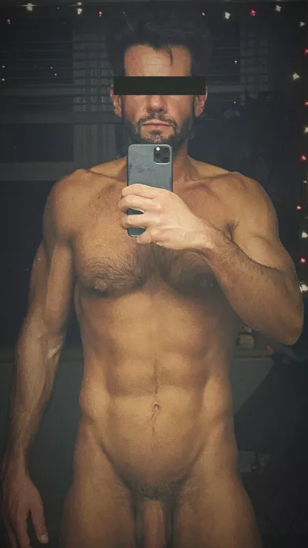 Keeping the Christmas lights up all year by cnjthrowaway8103