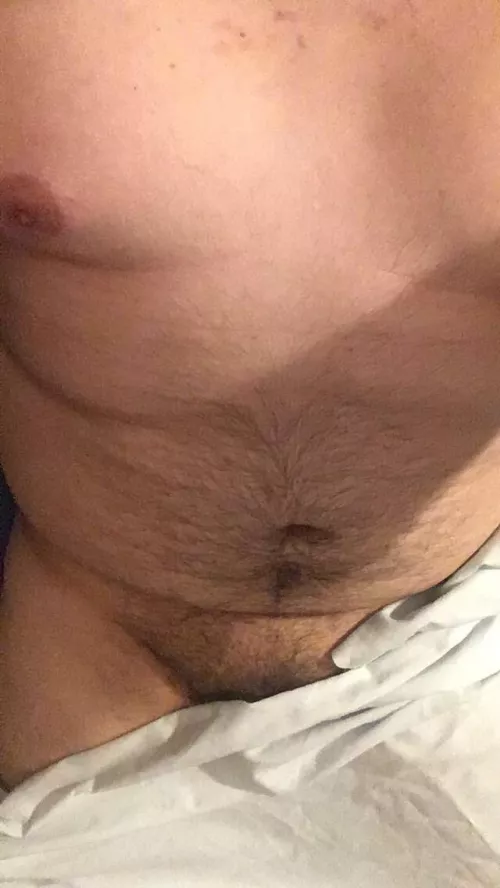 Kinda in the mood. Trade? Sc Gay22chub by TheseCommercial8278