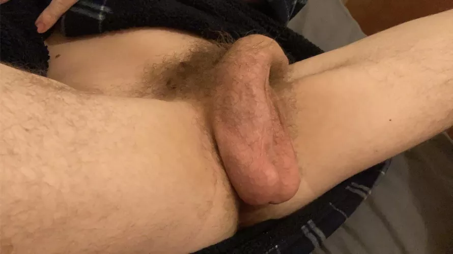 Kinda wish they were hairier ngl by just_your_fav_bwc