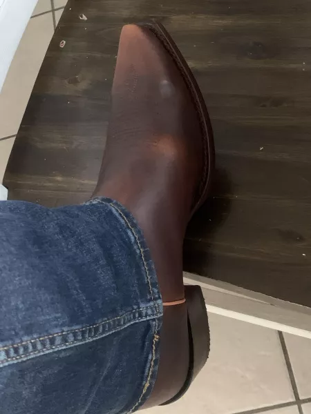 King Exotic Rage Bovine leather by RobertNeville81