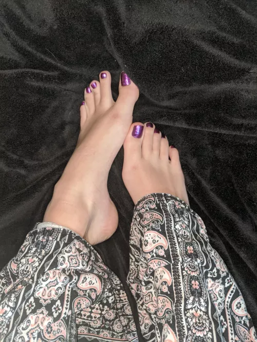 kiss them by vegantarantulalady