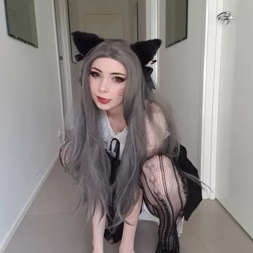 kitsune by elefire_grey by elefiregrey