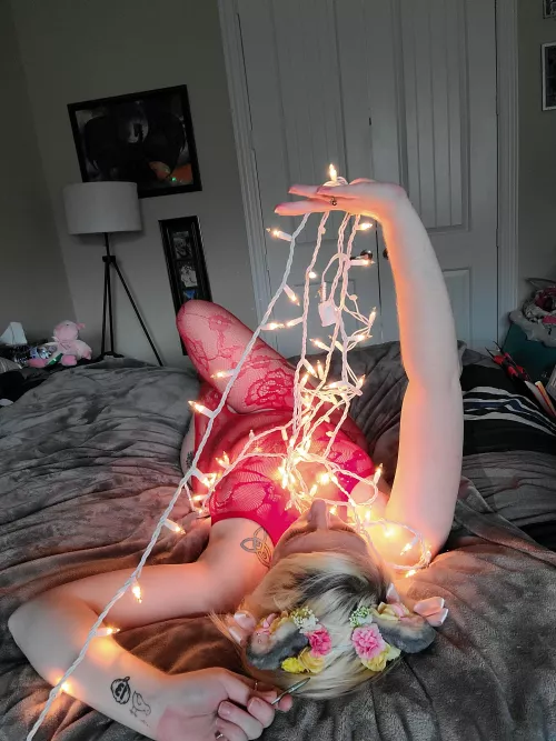 Kitten in red lounging and playing in Christmas lights by AmeliaStoner