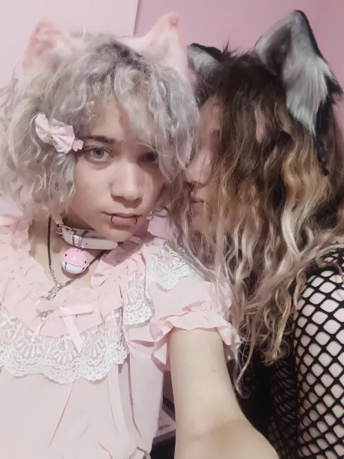 ♡ kitten kisses ♡ by super_deformed