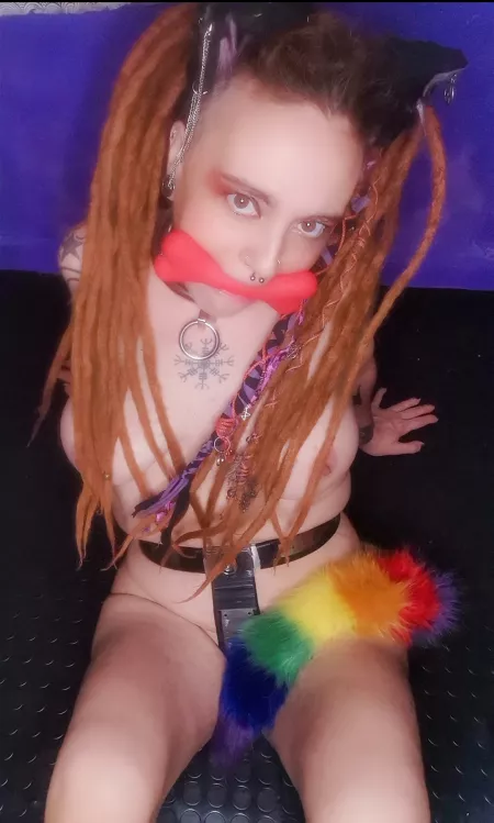 Kitten play night, bit steel is always on. by Nekotied