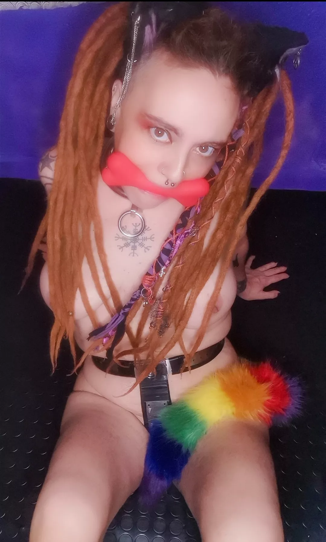 Kitten play night, bit steel is always on. posted by Nekotied