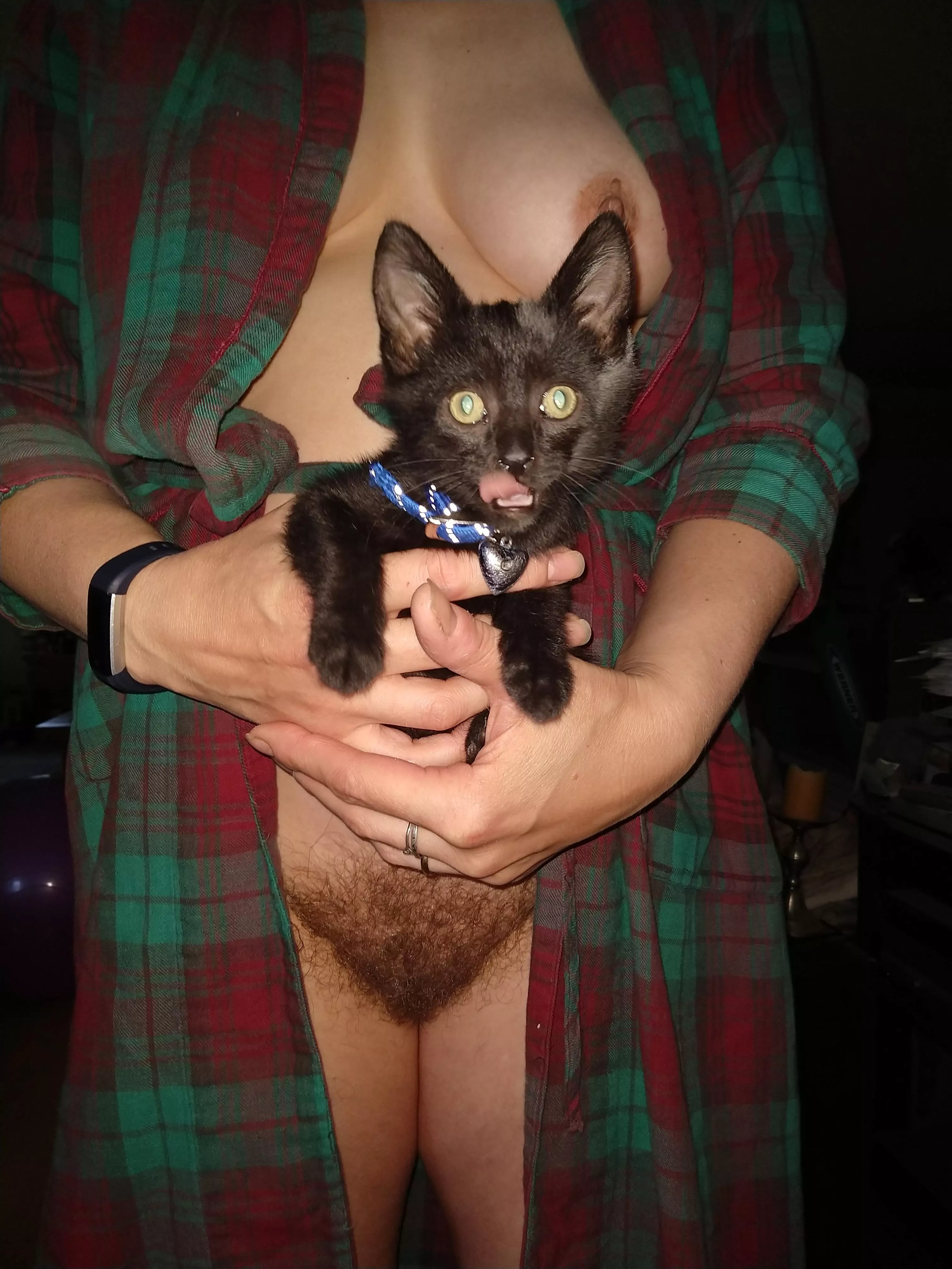 Kitties 😁 posted by AppleDan86