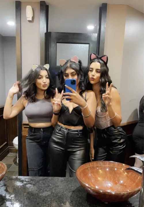 kitties by stompinin