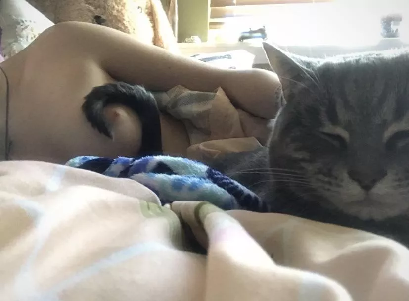 Kitties are always getting in the way! 🙄😂 posted by LanaMaee