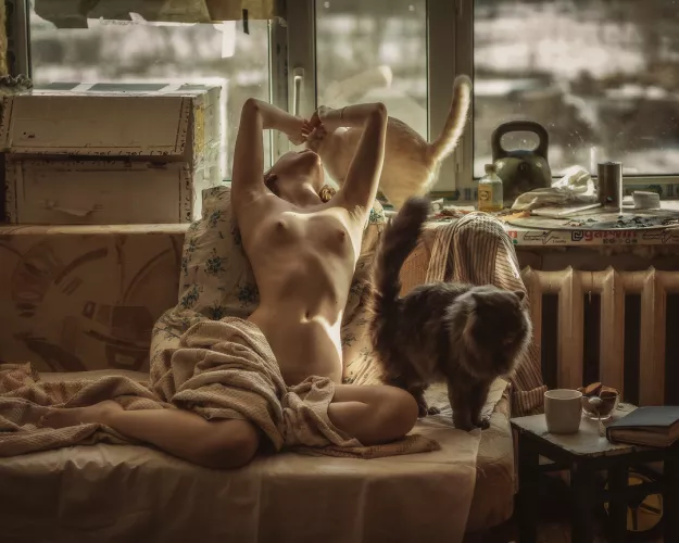 Kitties & Titties by badmisterbunny