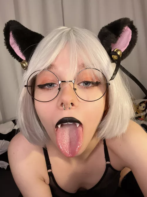 Kitty got hungry by kovicki