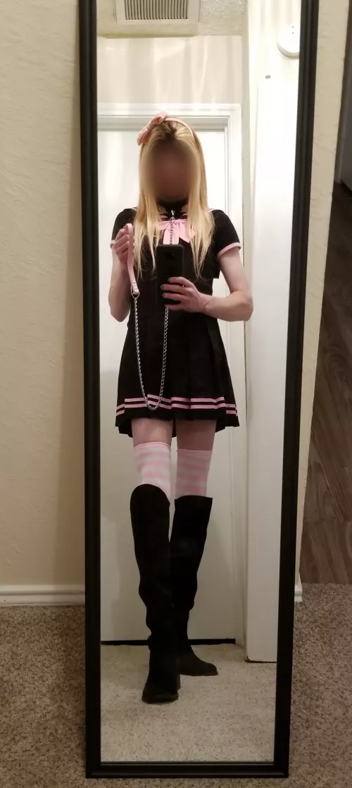 Kitty is all ready for her walk. 😘 by SlytherinSissy