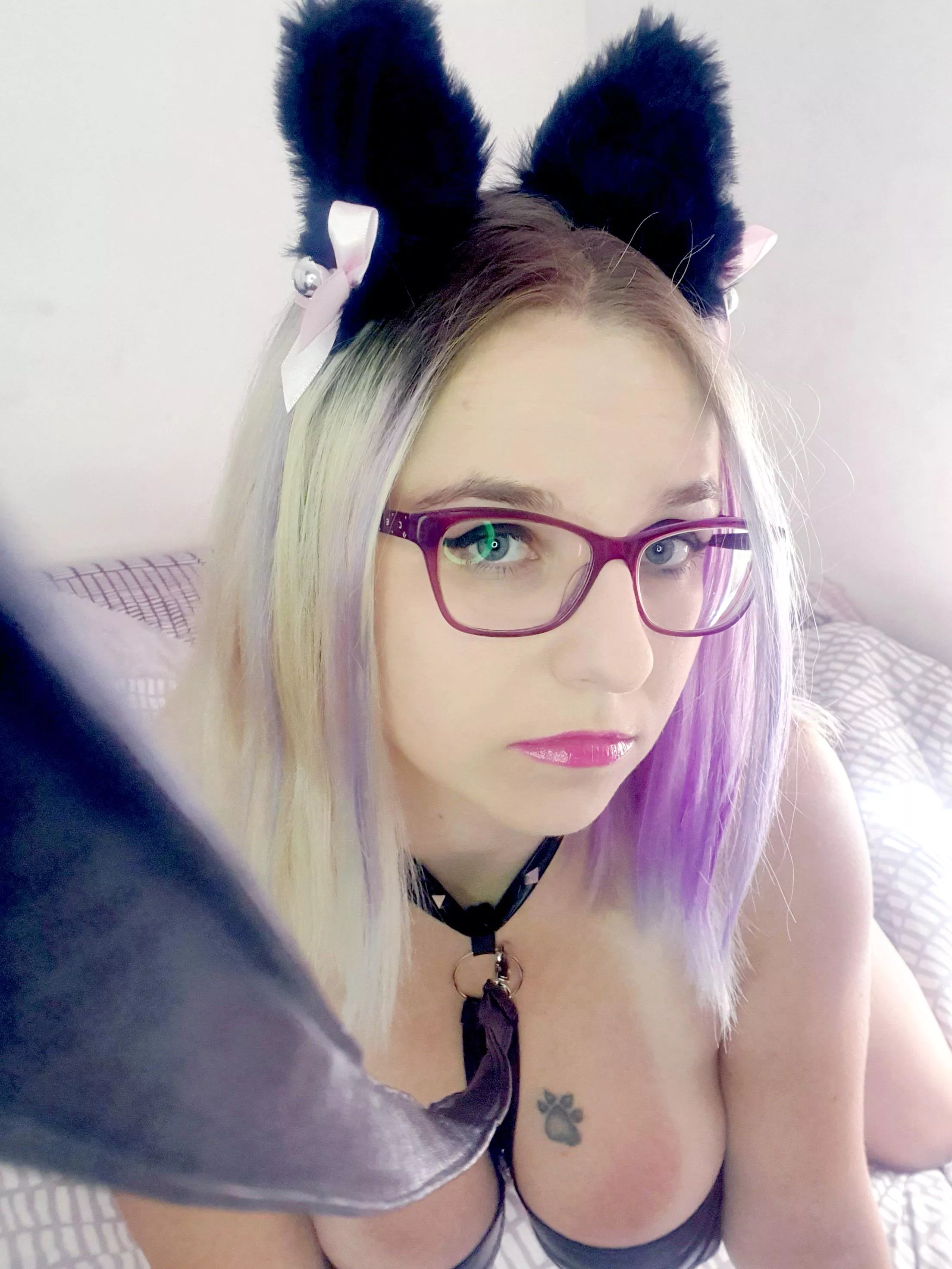 Kitty with glasses ⭐🐱 posted by 002NeeDarling