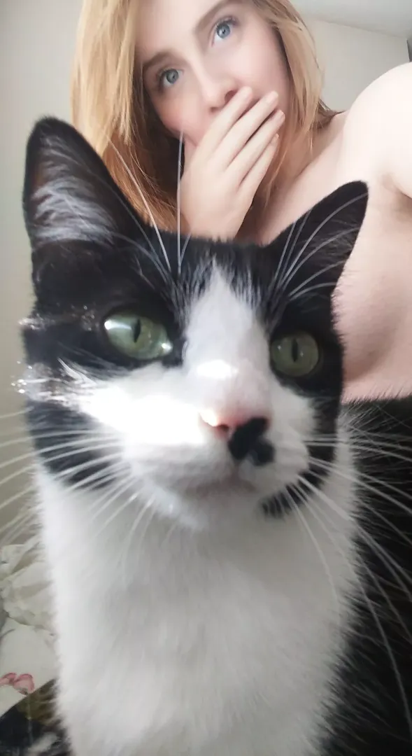 Kitty won't let me work~ posted by MissPrincessKay